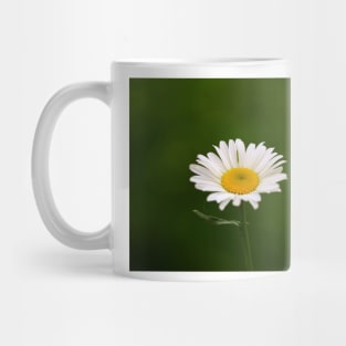 White daisy Mug